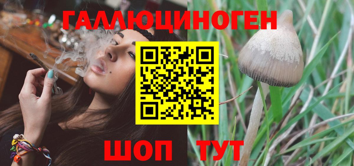 Галлюциногенные грибы Psilocybine cubensis  Вход с VPN  Кимры 